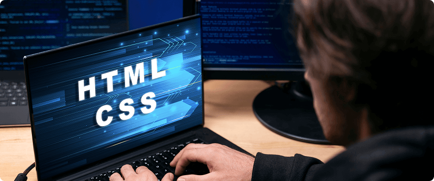 Web Development